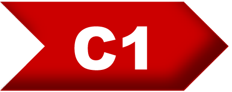 Examen C1